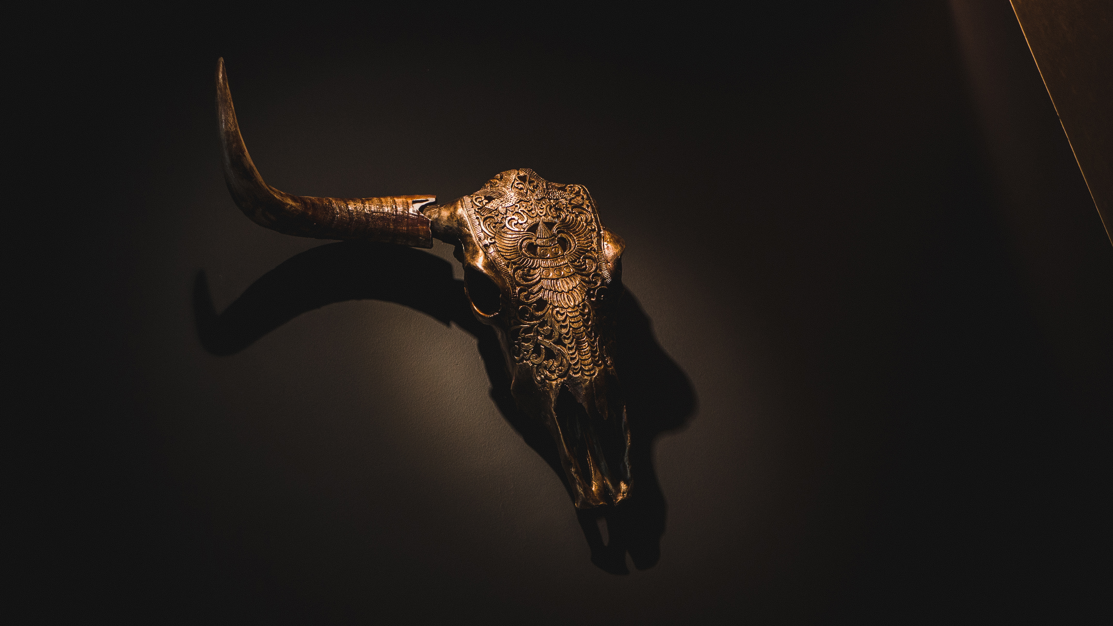 Sfeerbeeld Ados — steak & kruiden